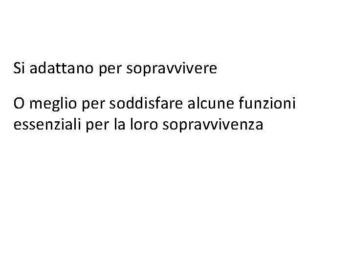 Si adattano per sopravvivere O meglio per soddisfare alcune funzioni essenziali per la loro Si adattano per sopravvivere O meglio per soddisfare alcune funzioni essenziali per la loro