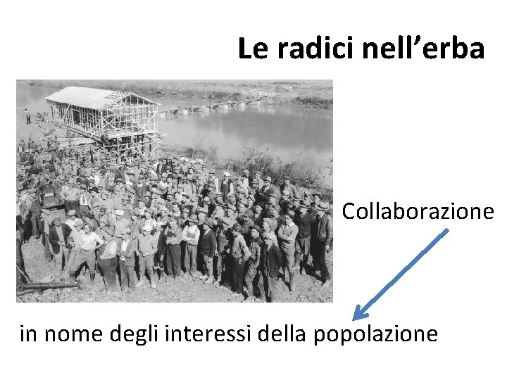 Le radici nell’erba Collaborazione in nome degli interessi della popolazione Le radici nell’erba Collaborazione in nome degli interessi della popolazione