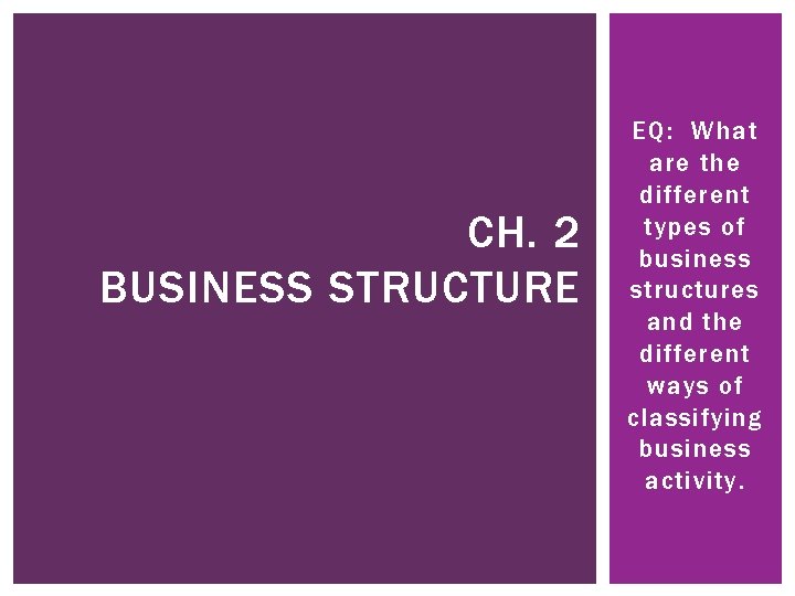 CH. 2 BUSINESS STRUCTURE EQ: What are the different types of business structures and