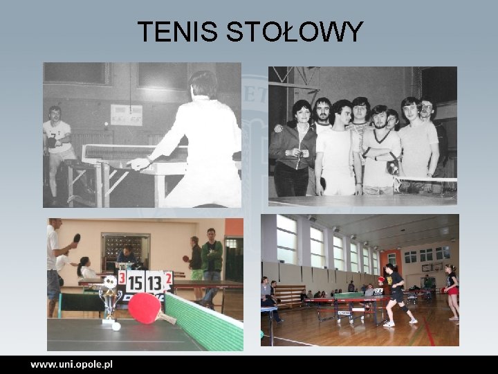 TENIS STOŁOWY 