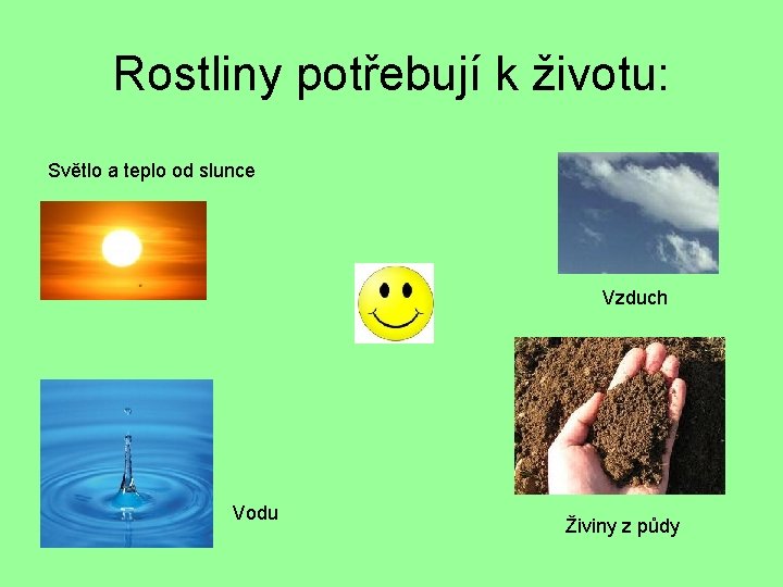 Rostliny potřebují k životu: Světlo a teplo od slunce Vzduch Vodu Živiny z půdy