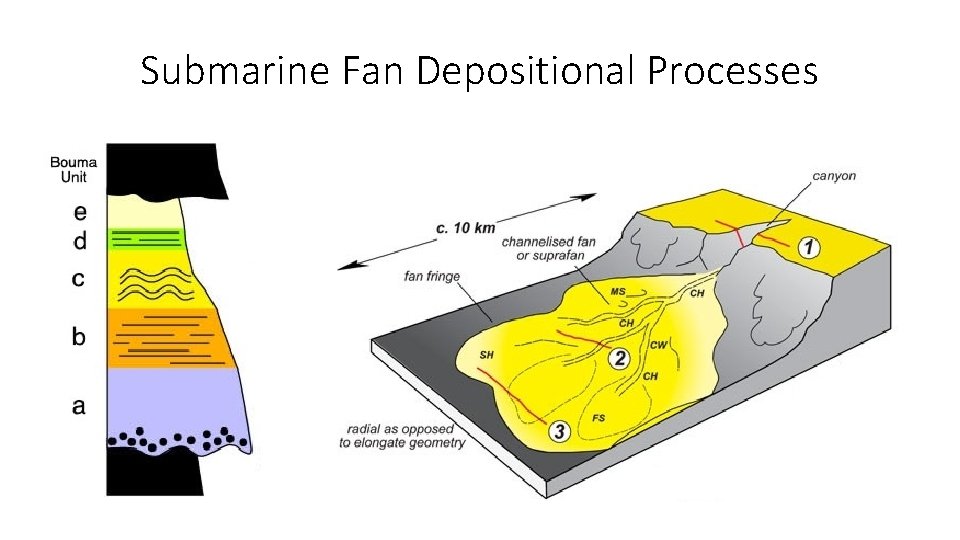 Submarine Fan Depositional Processes 