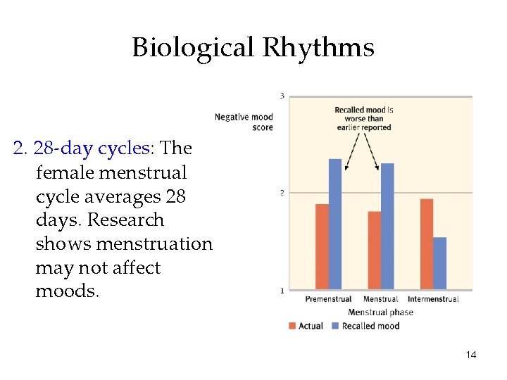 Biological Rhythms 2. 28 -day cycles: The female menstrual cycle averages 28 days. Research