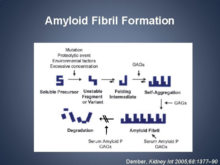Amyloid Fibril Formation Dember, Kidney Int 2005; 68: 1377– 90 Amyloid Fibril Formation Dember, Kidney Int 2005; 68: 1377– 90