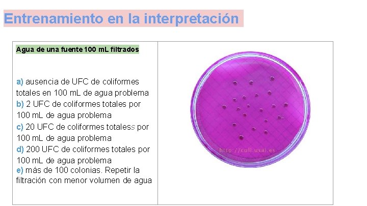 Entrenamiento en la interpretación Agua de una fuente 100 m. L filtrados a) ausencia Entrenamiento en la interpretación Agua de una fuente 100 m. L filtrados a) ausencia