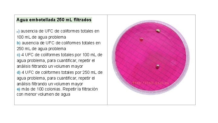 Agua embotellada 250 m. L filtrados a) ausencia de UFC de coliformes totales en Agua embotellada 250 m. L filtrados a) ausencia de UFC de coliformes totales en