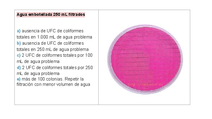 Agua embotellada 250 m. L filtrados a) ausencia de UFC de coliformes totales en Agua embotellada 250 m. L filtrados a) ausencia de UFC de coliformes totales en