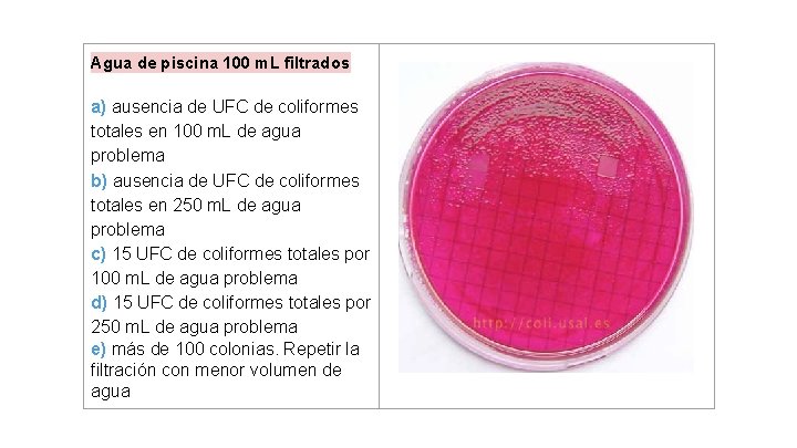Agua de piscina 100 m. L filtrados a) ausencia de UFC de coliformes totales Agua de piscina 100 m. L filtrados a) ausencia de UFC de coliformes totales