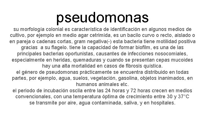 pseudomonas su morfología colonial es característica de identificación en algunos medios de cultivo, por pseudomonas su morfología colonial es característica de identificación en algunos medios de cultivo, por