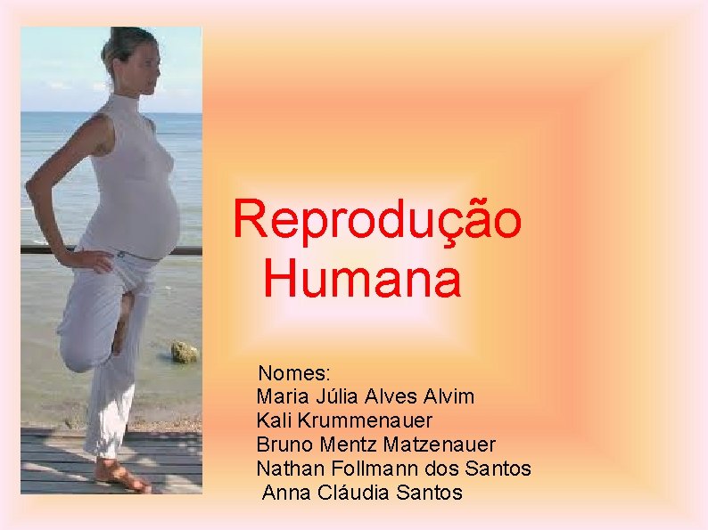 Reprodução Humana Nomes: Maria Júlia Alves Alvim Kali Krummenauer Bruno Mentz Matzenauer Nathan Follmann