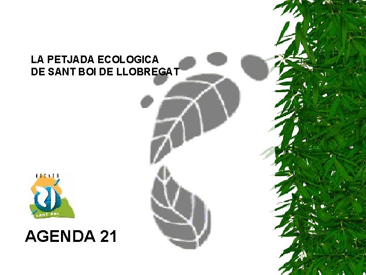 LA PETJADA ECOLOGICA DE SANT BOI DE LLOBREGAT AGENDA 21 