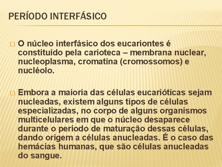 PERÍODO INTERFÁSICO � O núcleo interfásico dos eucariontes é constituído pela carioteca – membrana