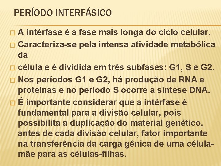 PERÍODO INTERFÁSICO A intérfase é a fase mais longa do ciclo celular. � Caracteriza-se