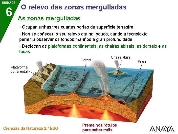 UNIDADE 6 O relevo das zonas mergulladas As zonas mergulladas • Ocupan unhas tres