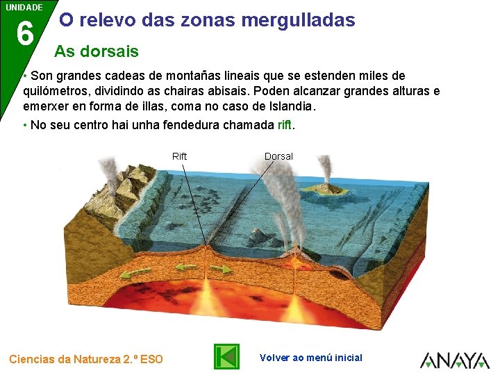 UNIDADE 6 O relevo das zonas mergulladas As dorsais • Son grandes cadeas de