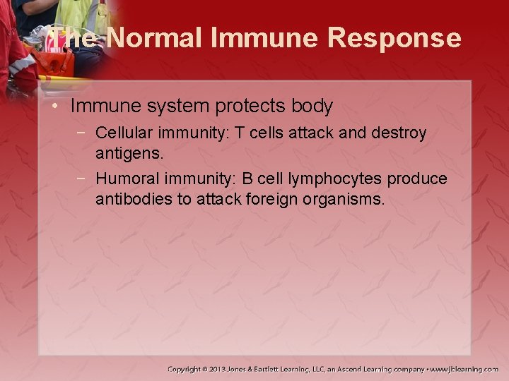 The Normal Immune Response • Immune system protects body − Cellular immunity: T cells