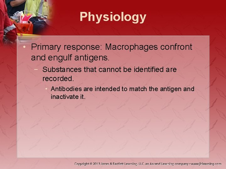 Physiology • Primary response: Macrophages confront and engulf antigens. − Substances that cannot be