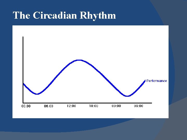 The Circadian Rhythm 