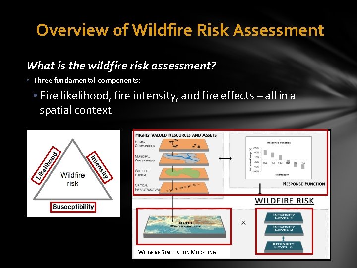 A National Wildfire Risk Assessment for National Forest