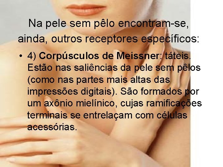 Na pele sem pêlo encontram-se, ainda, outros receptores específicos: • 4) Corpúsculos de Meissner: