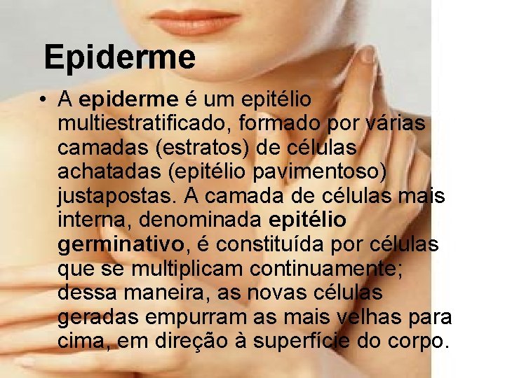 Epiderme • A epiderme é um epitélio multiestratificado, formado por várias camadas (estratos) de