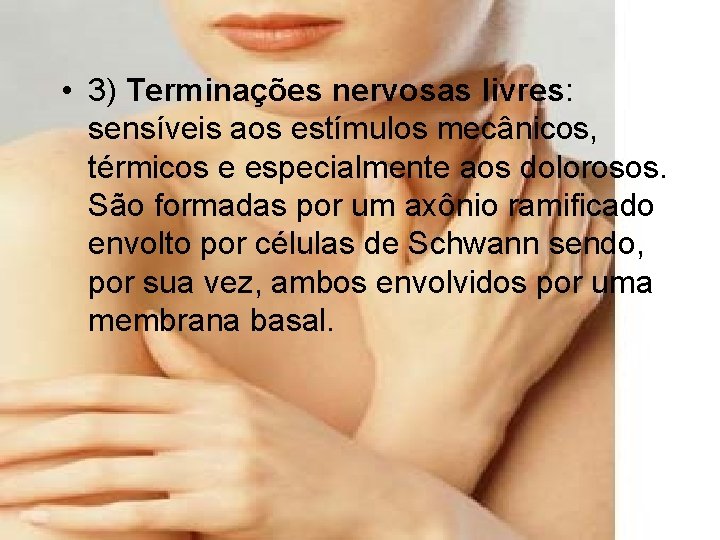  • 3) Terminações nervosas livres: sensíveis aos estímulos mecânicos, térmicos e especialmente aos