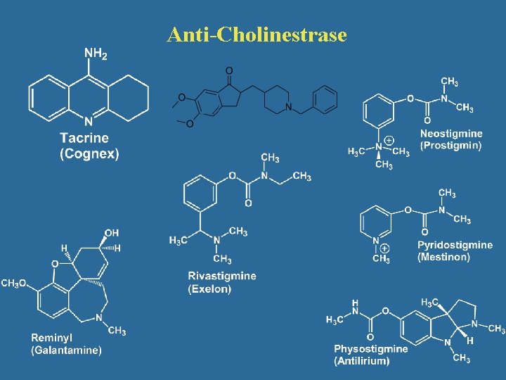 Anti-Cholinestrase 