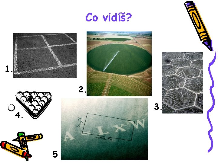 Co vidíš? 1. 2. 3. 4. 5. 