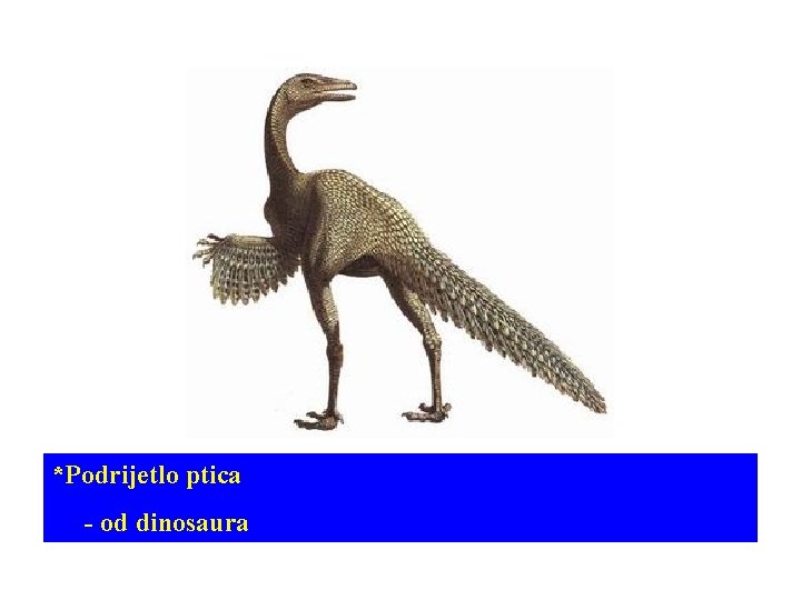 *Podrijetlo ptica - od dinosaura 