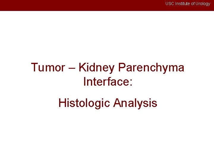 USC Institute of Urology Tumor – Kidney Parenchyma Interface: Histologic Analysis 
