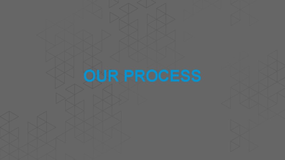 OUR PROCESS 
