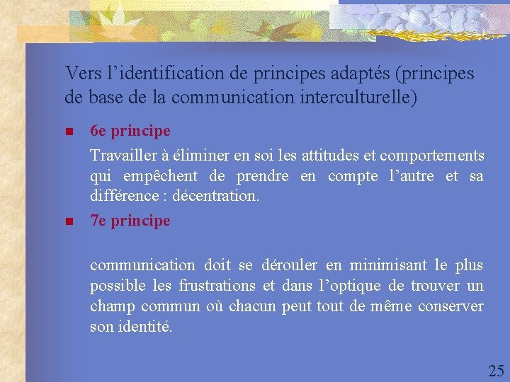 Vers l’identification de principes adaptés (principes de base de la communication interculturelle) n n