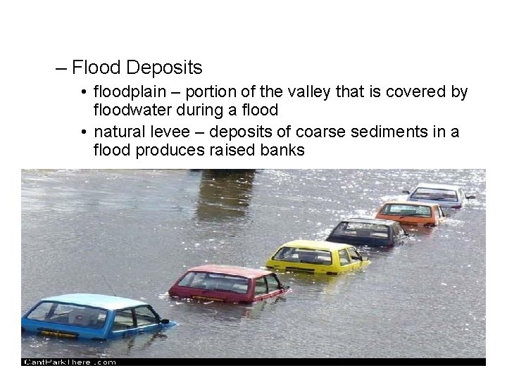– Flood Deposits • floodplain – portion of the valley that is covered by
