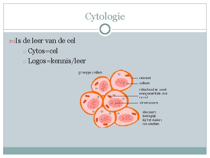Cytologie Is de leer van de cel Cytos=cel Logos=kennis/leer 
