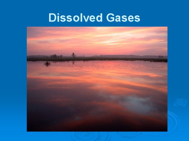 Dissolved Gases 