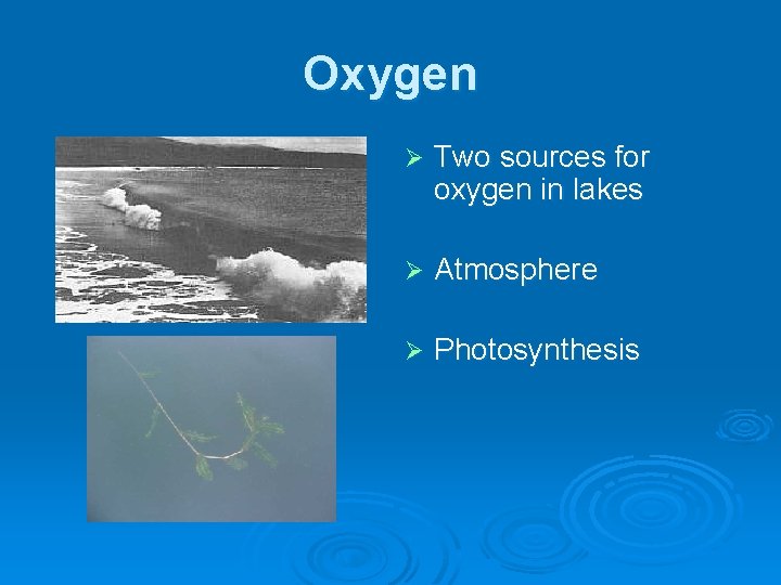 Oxygen Ø Two sources for oxygen in lakes Ø Atmosphere Ø Photosynthesis 