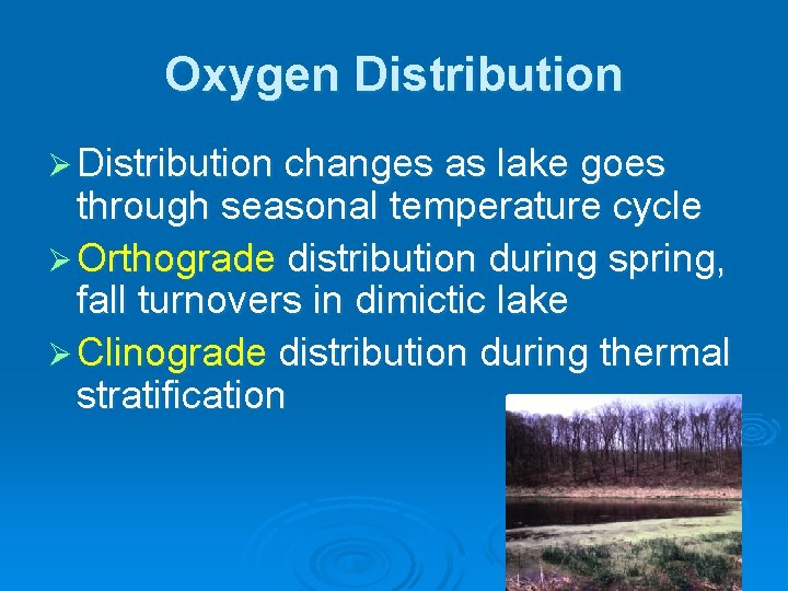 Oxygen Distribution Ø Distribution changes as lake goes through seasonal temperature cycle Ø Orthograde