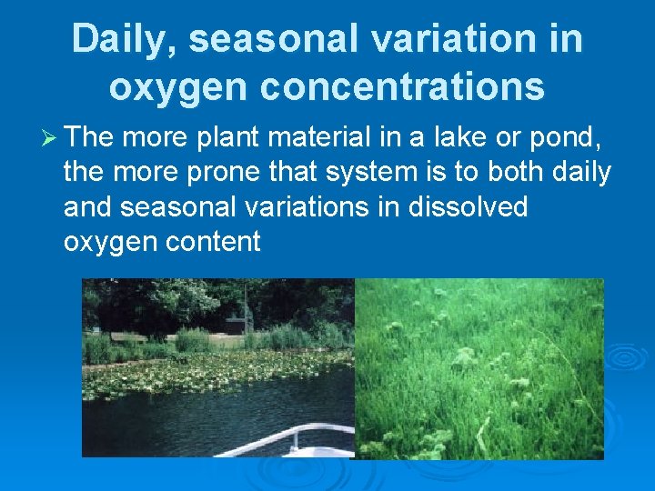 Daily, seasonal variation in oxygen concentrations Ø The more plant material in a lake