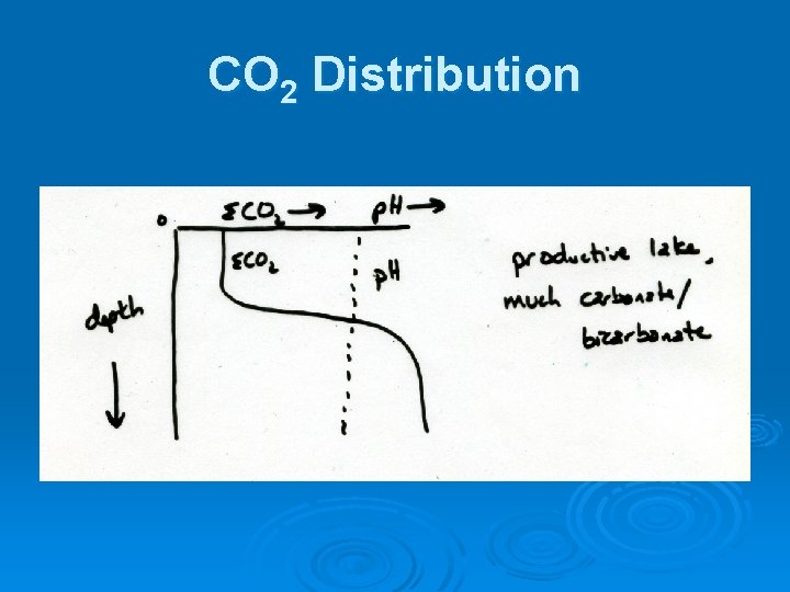 CO 2 Distribution 