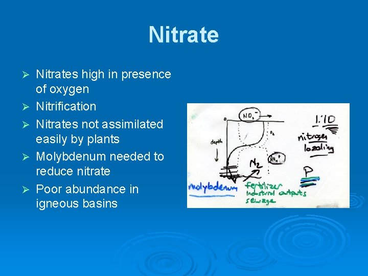 Nitrate Ø Ø Ø Nitrates high in presence of oxygen Nitrification Nitrates not assimilated