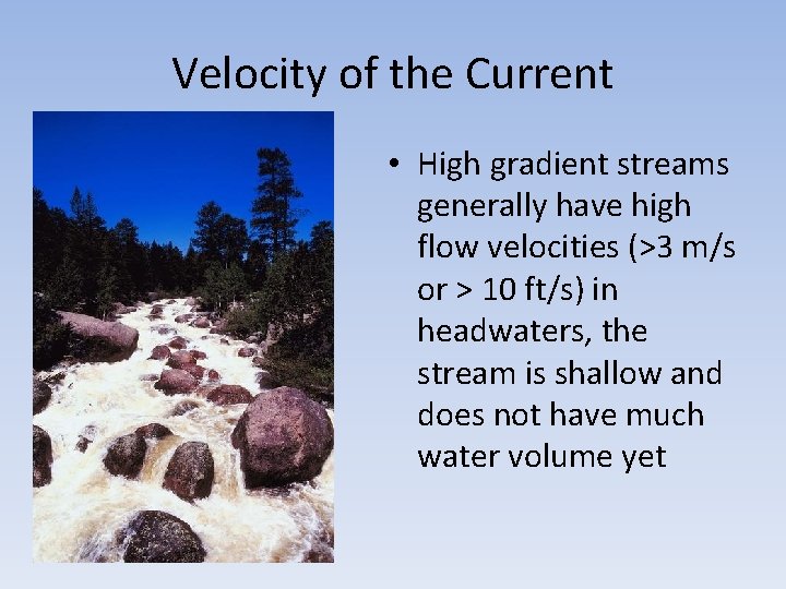 Velocity of the Current • High gradient streams generally have high flow velocities (>3