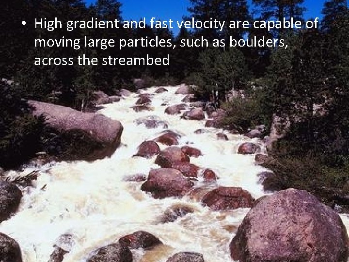  • High gradient and fast velocity are capable of moving large particles, such