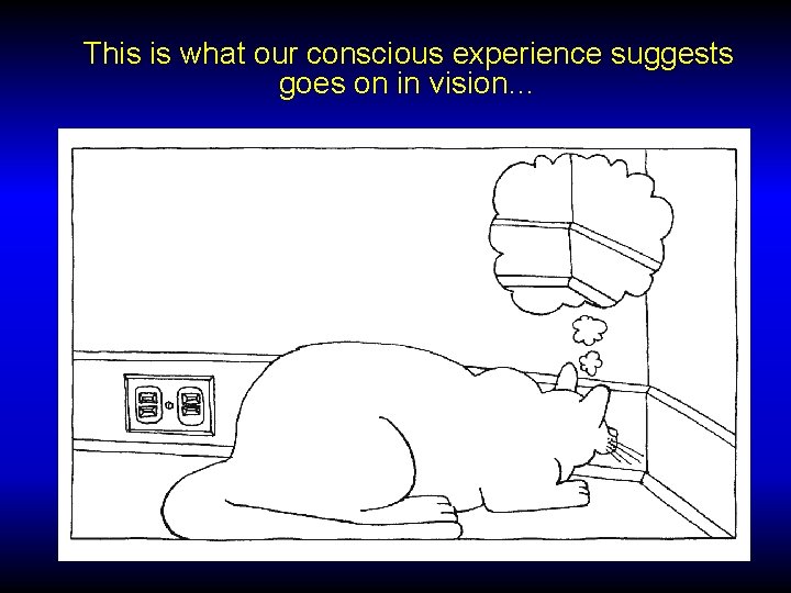 This is what our conscious experience suggests goes on in vision… 