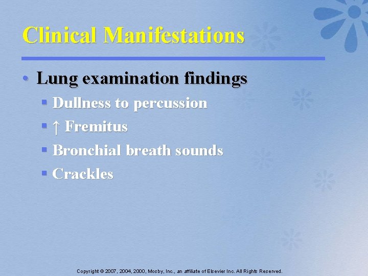 Clinical Manifestations • Lung examination findings § Dullness to percussion § ↑ Fremitus §
