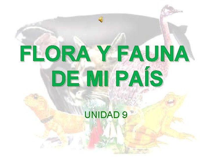 FLORA Y FAUNA DE MI PAÍS UNIDAD 9 FLORA Y FAUNA DE MI PAÍS UNIDAD 9