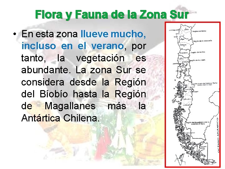 Flora y Fauna de la Zona Sur • En esta zona llueve mucho, incluso Flora y Fauna de la Zona Sur • En esta zona llueve mucho, incluso