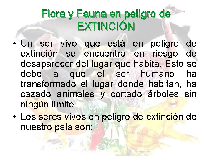 Flora y Fauna en peligro de EXTINCIÓN • Un ser vivo que está en Flora y Fauna en peligro de EXTINCIÓN • Un ser vivo que está en
