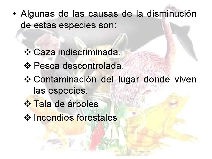 • Algunas de las causas de la disminución de estas especies son: v • Algunas de las causas de la disminución de estas especies son: v