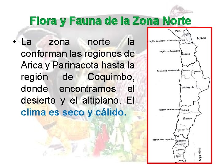 Flora y Fauna de la Zona Norte • La zona norte la conforman las Flora y Fauna de la Zona Norte • La zona norte la conforman las