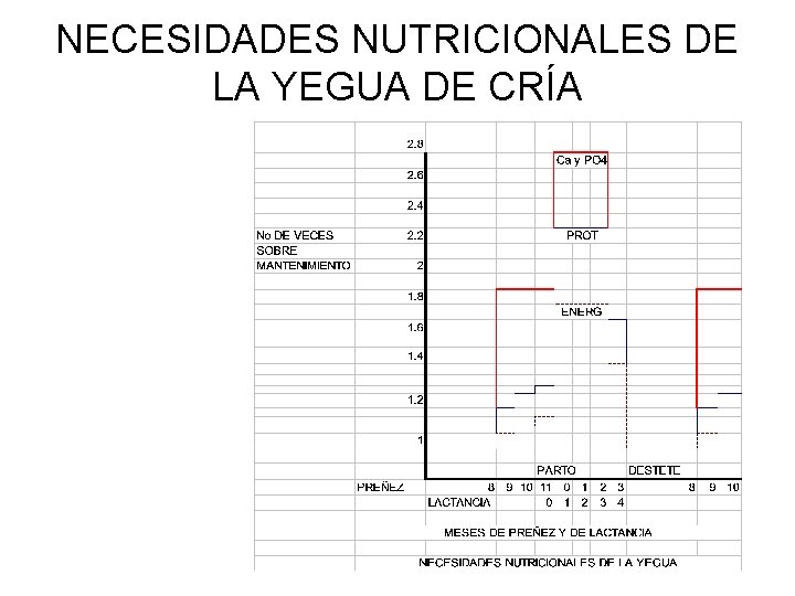 NECESIDADES NUTRICIONALES DE LA YEGUA DE CRÍA 